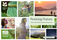 Noticing Nature Report