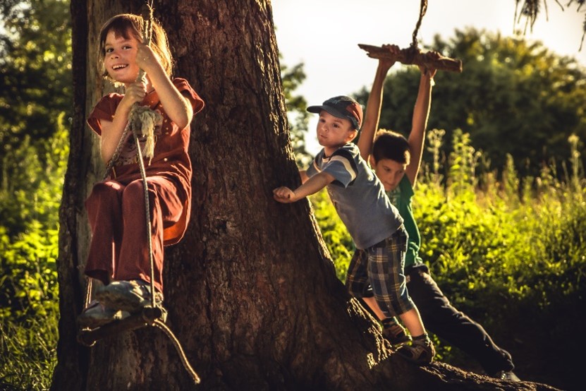 Three children playing under a tree. Two are playing on rope swings.