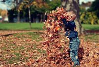 A toddler playing in autumn leaves