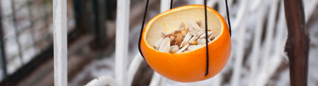 A bird feeder made from orange peel filled with seeds
