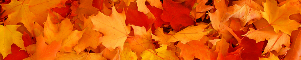 A banner with orange fallen leaves