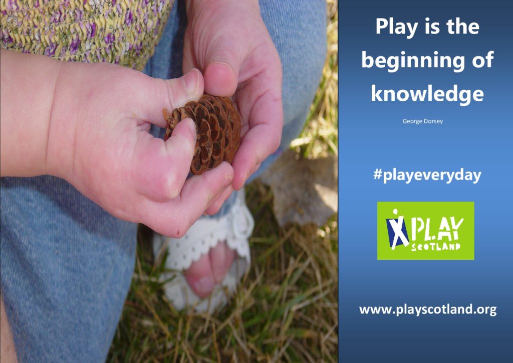 Play is the beginning of knowledge acorn