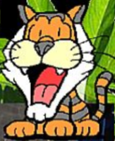 Tigerz ASC