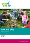 Risk and play – A literature review summary